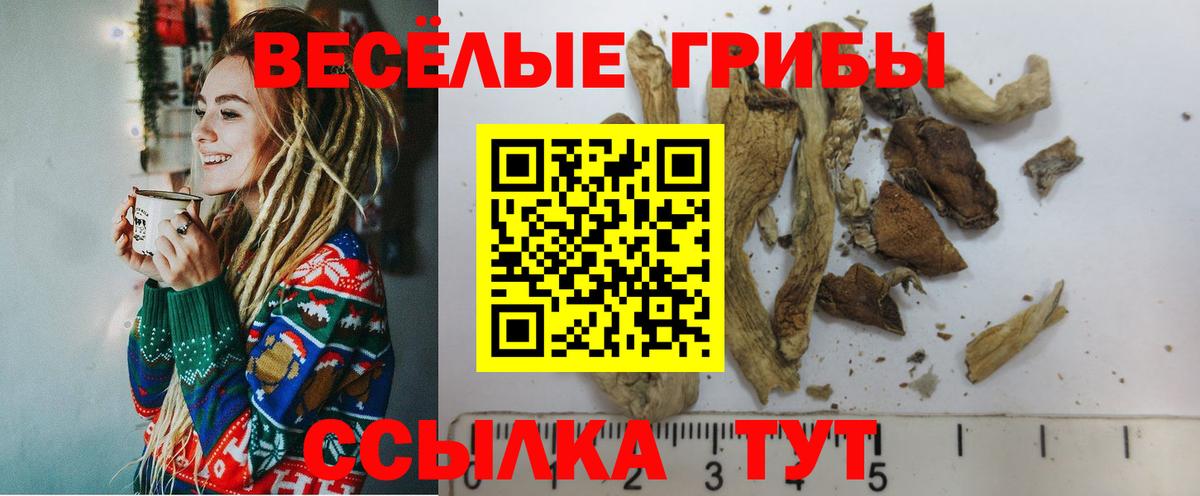 Галлюциногенные грибы Magic Shrooms Звенигород