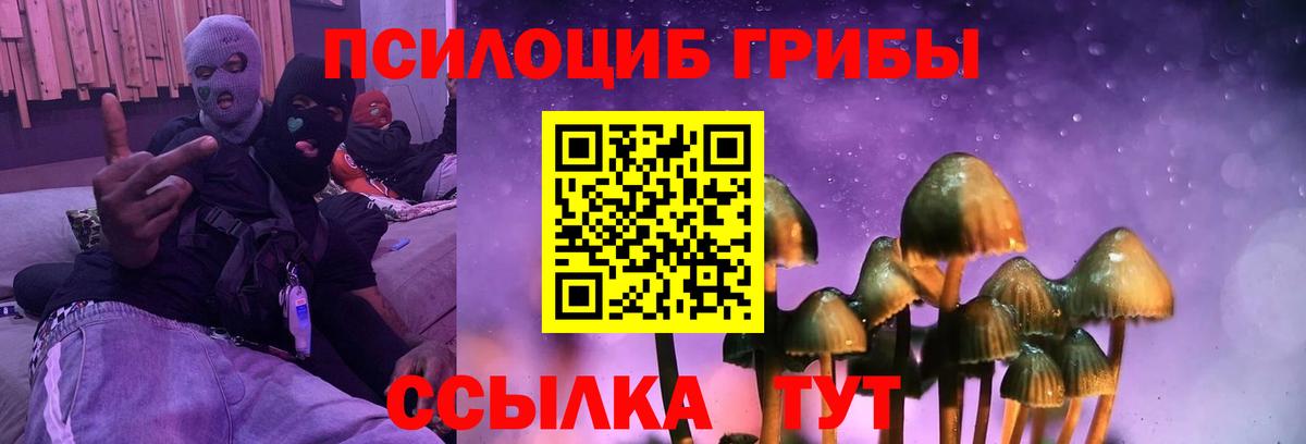 Галлюциногенные грибы Cubensis  Вход с VPN  Звенигород 